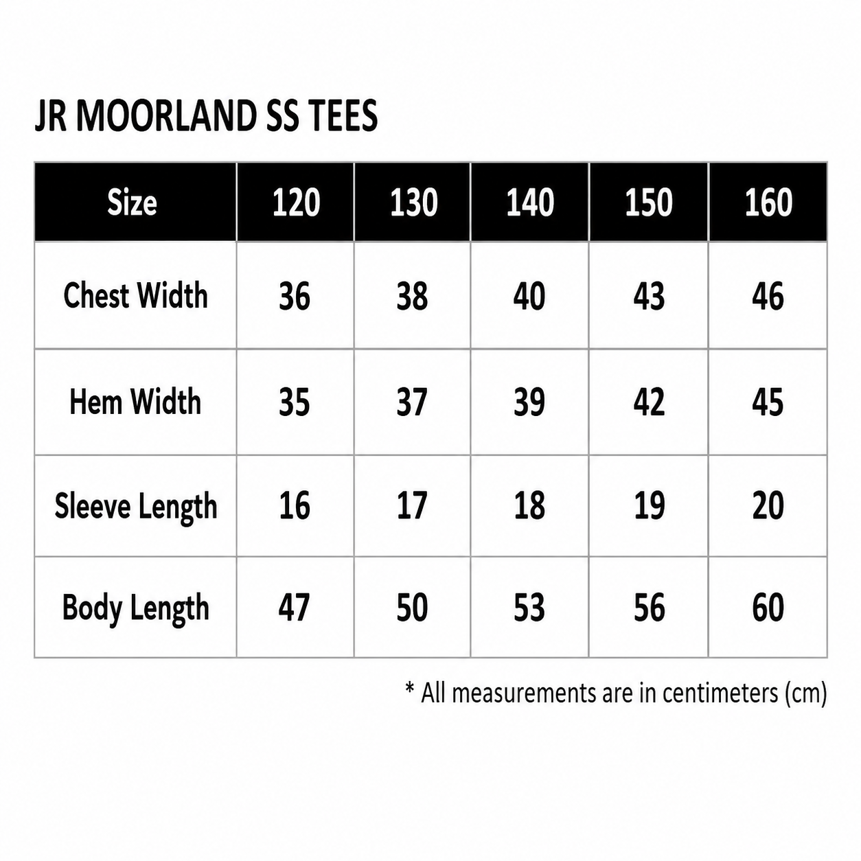 EIGER JR MOORLAND STRIPE SS TEES image 5